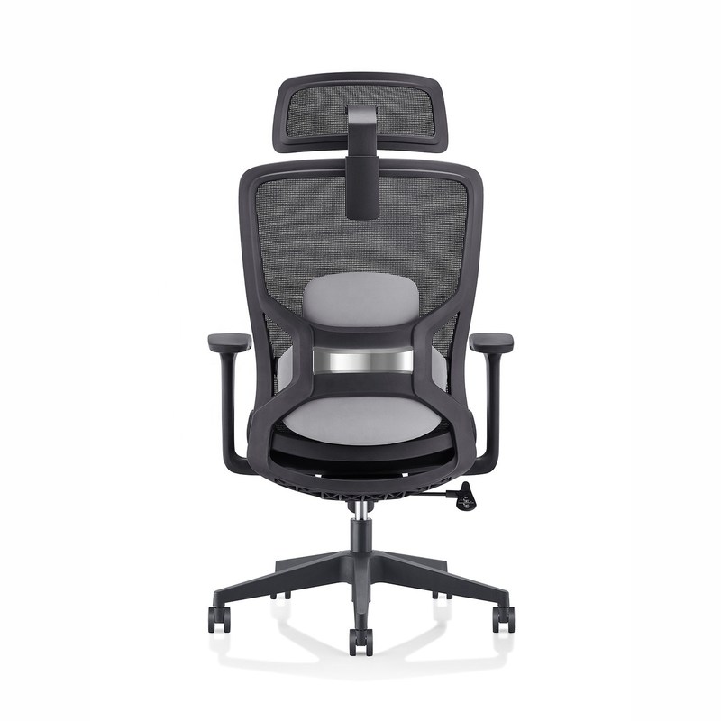 Mesh Fabric Ergonomic Office Chair for Workstation and Manager 645*630*1145-1300mm